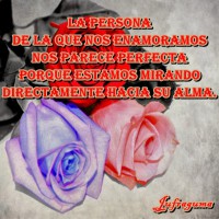 /album/fotogaleria/la-persona-1-jpg/